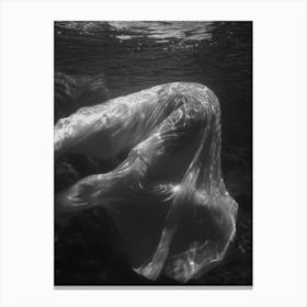 Underwater #2 Canvas Print