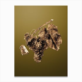 Gold Botanical Black Canaiolo on Dune Yellow n.2770 Canvas Print