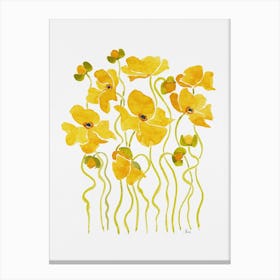 Golden Poppies Canvas Print