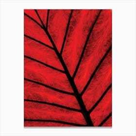 Red Leaf Canvas Print