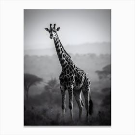 Giraffe in the Nature Canvas Print