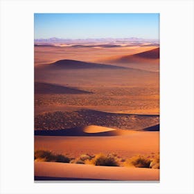 Desert Canvas Print