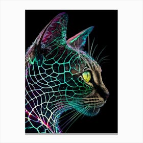 Abstract Cat 15 Canvas Print