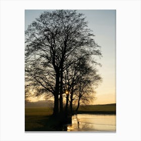 Trees, water and golden evening light Canvas Print