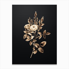 Gold Botanical Mossy Pompon Rose on Wrought Iron Black n.0899 Canvas Print