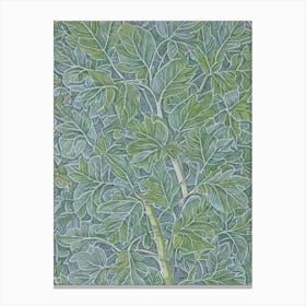 Amur Maple 2 tree Vintage Botanical Canvas Print
