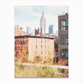 New York, USA I High Line view of the NY city with the New York skyline in autumn retro vintage aesthetic photography and pampa in front of New Yorker brick architecture lofts with boho wild and savage nature Canvas Print