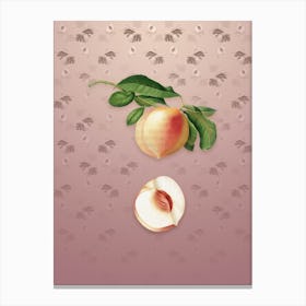 Vintage Peach Botanical on Dusty Pink Pattern n.0834 Canvas Print