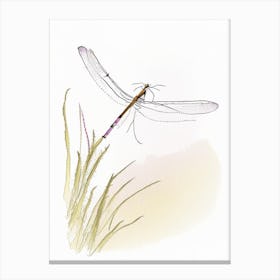 Wandering Glider Dragonfly Pencil Illustration 1 Canvas Print
