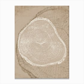 Beige Tree Ring Stump 1 Canvas Print