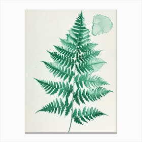 Green Ink Painting Of A Boston Fern 3 Canvas Print