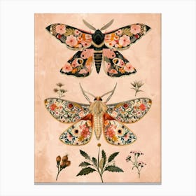 Pink Botanical Butterflies William Morris Style 6 Canvas Print