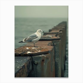 Seagull On Pier Canvas Print