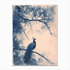 Cyanotype Inspired Peacock In The Tree 3 Canvas Print