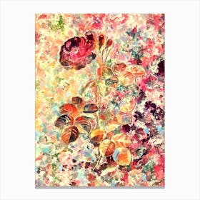 Impressionist Damask Rose Botanical Painting in Blush Pink and Gold Canvas Print