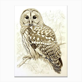 Barred Owl Marker Drawing 2 Canvas Print