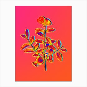 Neon Pomegranate Branch Botanical in Hot Pink and Electric Blue n.0529 Canvas Print
