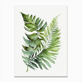 Flat Leaf Fern Watercolour Canvas Print