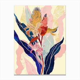 Colourful Flower Illustration Celosia 1 Canvas Print
