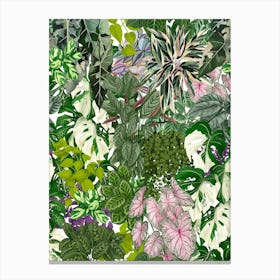 House Plants Jungle 3 Canvas Print