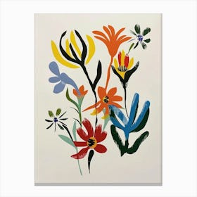 Painted Florals Kangaroo Paw 2 Canvas Print