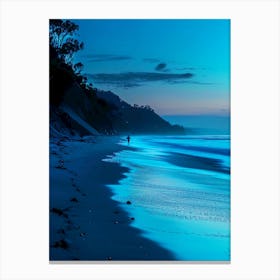 Twighlight in the beach Canvas Print