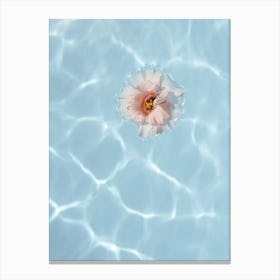 Floating Flower Canvas Print