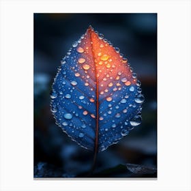 Leaf With Water Droplets 1 Canvas Print