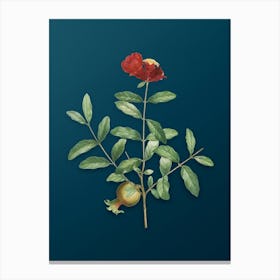 Vintage Pomegranate Branch Botanical Art on Teal Blue n.0368 Canvas Print