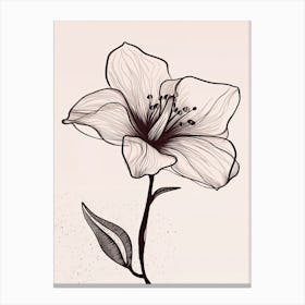 Lilies Line Art Flowers Illustration Neutral 12 Canvas Print