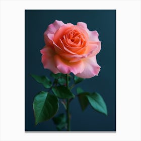 English Roses Painting Minimalist 4 Canvas Print