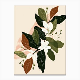 Magnolia Branch Canvas Print