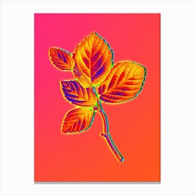Neon Witch Hazel Botanical in Hot Pink and Electric Blue n.0400 Canvas Print