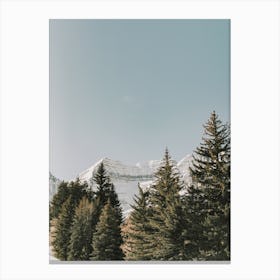 Snowy Mountain Forest Canvas Print