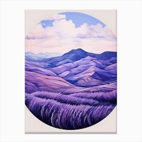 Lavender Fields Canvas Print