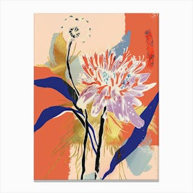 Colourful Flower Illustration Asters 4 Canvas Print