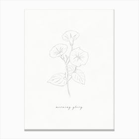 Morning Glory Line Drawing Canvas Print