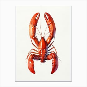 Red Lobster Canvas Print