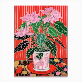 Pink And Red Plant Illustration Chinese Evergreen 4 Canvas Print