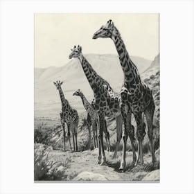 Herd Of Giraffe Pencil Portrait 3 Canvas Print
