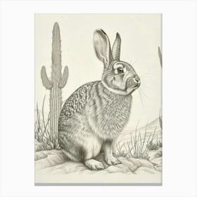 American Fuzzy Rabbit Drawing 4 Canvas Print