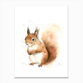 Baby Squirrel Watercolour Nursery 3 Canvas Print