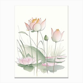 Lotus Flowers In Park Pencil Illustration 6 Canvas Print