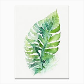 Soft Shield Fern Watercolour Canvas Print