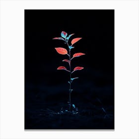 Plant In The Dark 12 Canvas Print