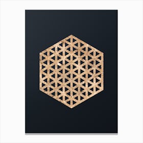 Abstract Geometric Gold Glyph on Dark Teal n.0463 Canvas Print