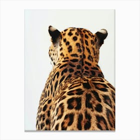 Back Of A Jaguar 1 Canvas Print