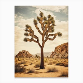  Photograph Of A Joshua Tree In Rocky Mountains 2 Canvas Print