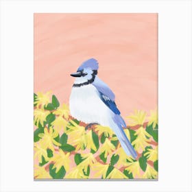 Blue Jay  Canvas Print