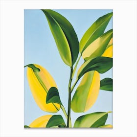 Banana Plant Bold Graphic Canvas Print